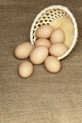 Bio eggs in basket