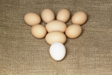 Eggs