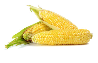 corn ripe and sweet