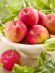 apples