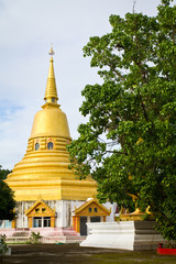 Fototapeta premium Pagoda and spiritual Bodhi tree at Wat Klong Rua, Thailand