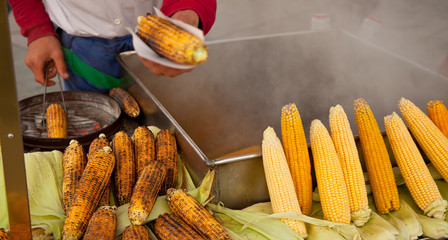 roasting corn © derege