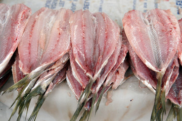 acciughe