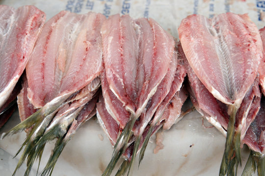 acciughe
