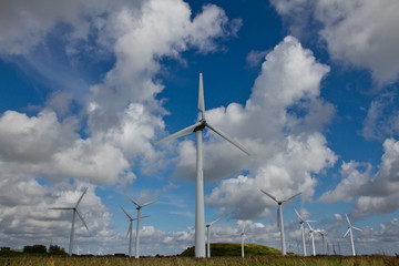Windfarm