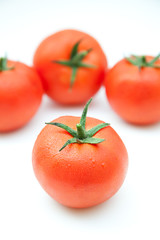 tomates sobre fondo blanco