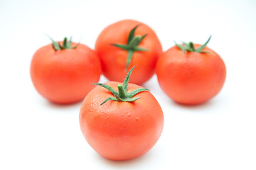 tomates sobre fondo blanco
