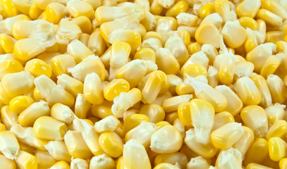 Sweet corn kernels