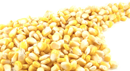Fresh sweet corn kernels arranged as the background.