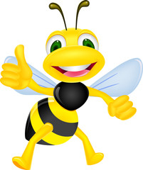 Cute bee with thumb up