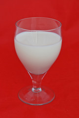 Glass of fresh milk isolated on red background