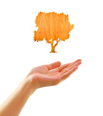 Eco concept : Hand with shape of tree made by wood