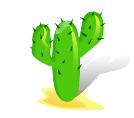 Cactuses