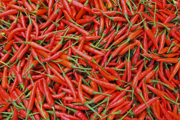Fototapeta premium Red hot chili peppers