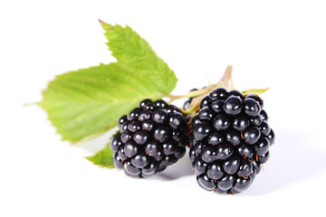 Brombeeren