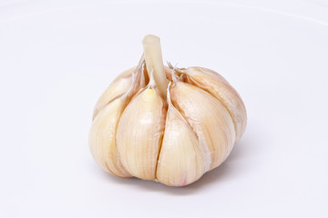 garlic on a white background