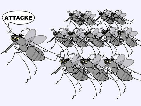 M&uuml;cken im Anflug