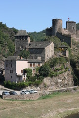 Fototapeta na wymiar brousse le château