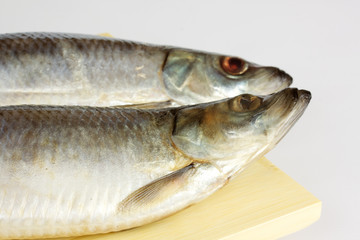 Salted herring isolated on the white background