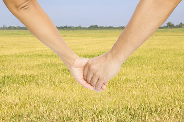 Successful farmers hold their hands and look at their field
