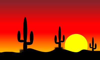Desert sunset with cactus plants
