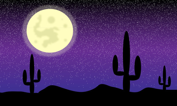 Desert With Cactus Plants. Night