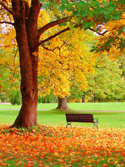 Herbst im öffentlichen Garten von Helsinki