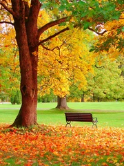 Fototapete Herbst Herbst im öffentlichen Garten von Helsinki