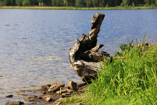 Summer Landscape. Ural Mountains River