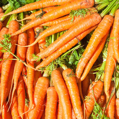 Carrots
