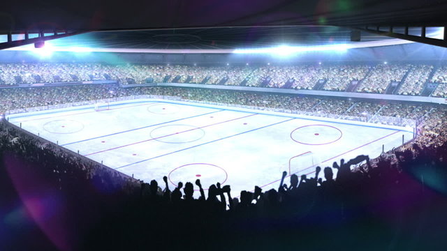 Hockey stadium. Sports event.