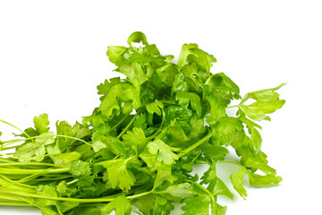 Obraz premium Fresh parsley isolated