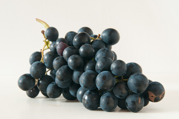 blaue Weintrauben 11.06
