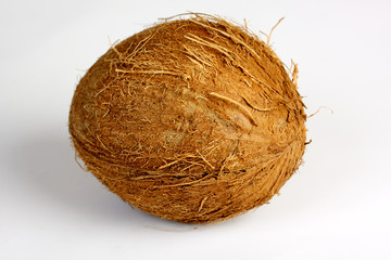 coconut isolated on white