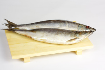 Salted herring isolated on the white background