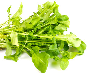 Ruccola salad fresh heap leaf