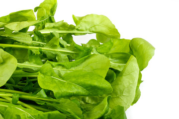 Ruccola salad fresh heap leaf