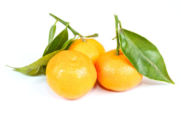 mandarin with green leaves isolated