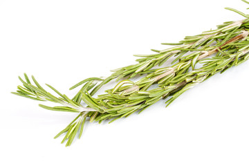 rosemary herb isolated on white