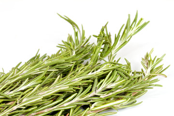 rosemary herb isolated on white