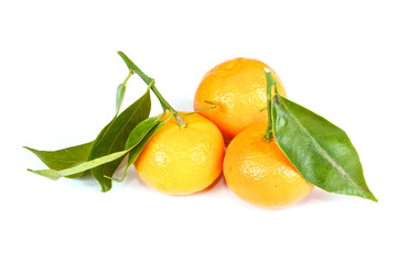 mandarin with green leaves isolated