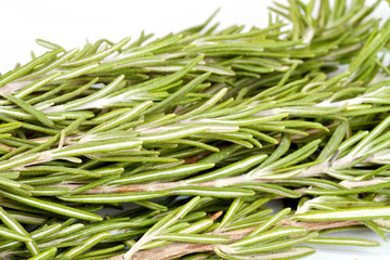 rosemary herb isolated on white