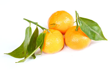 mandarin with green leaves isolated