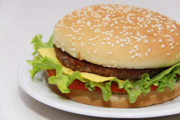 Tasty hamburger isolated on white background