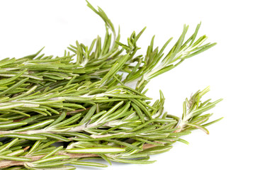 rosemary herb isolated on white