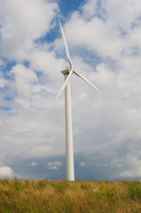 Wind turbine in  green field
