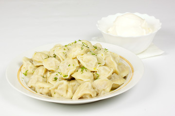 Bowl with traditional russian dish - pelmeni