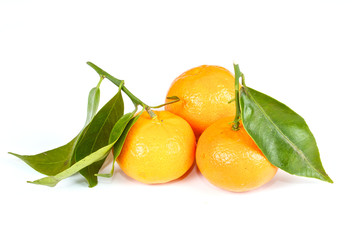 mandarin with green leaves isolated