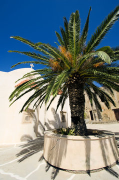 monastère et palmier