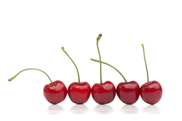 Red Cherries in a Row